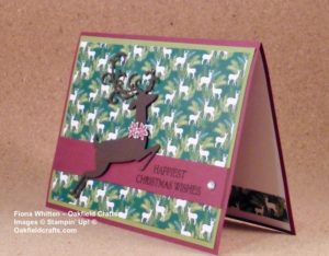 Card & A Cuppa - Fiona Whitten, Oakfield Crafts