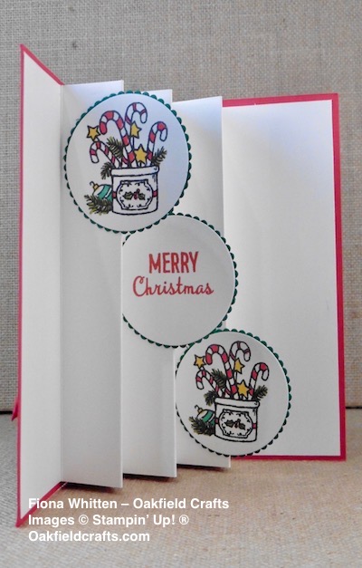 Many Blessings Fun Fold Christmas Card