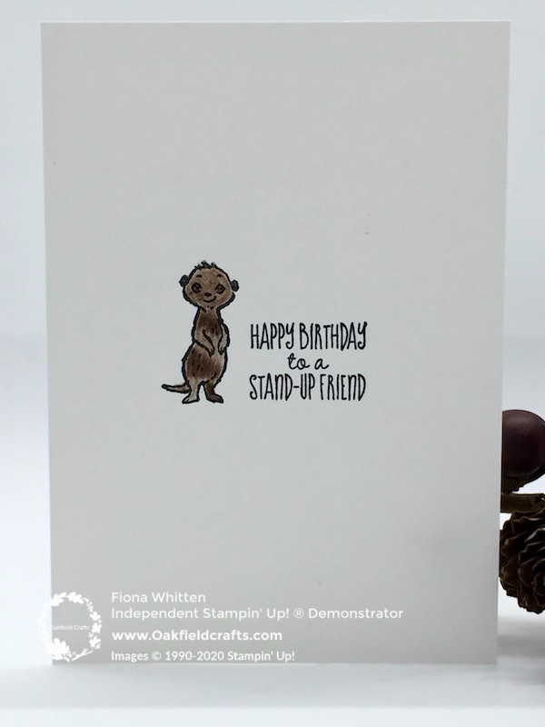 simple stamping sale-a-bration style