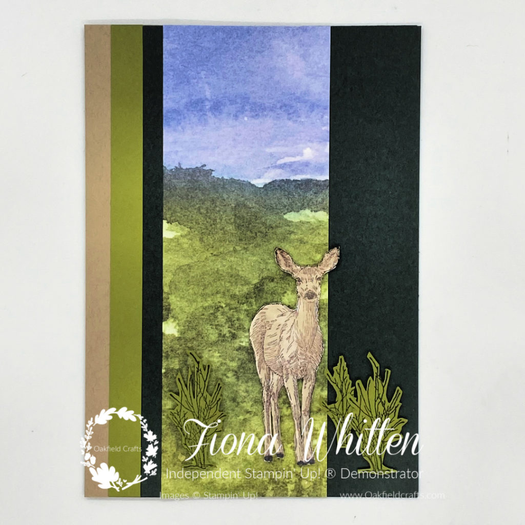creating with new horizons and nature's beauty stamps et